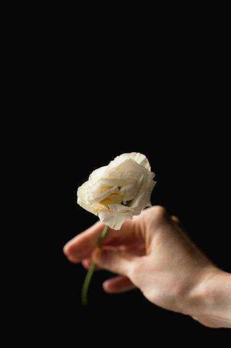 Bouquet 1